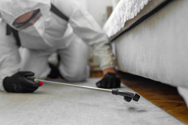 Professional Pest Control technician working in Phoenix, IL