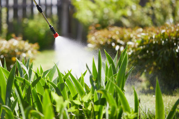 24/7 Emergency Pest Control experts in Phoenix, IL